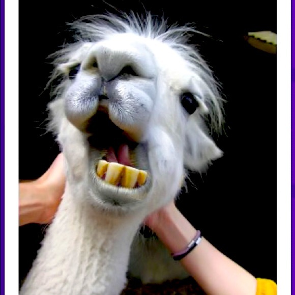 Meet your Posher, Sd - Picture 1 of 2